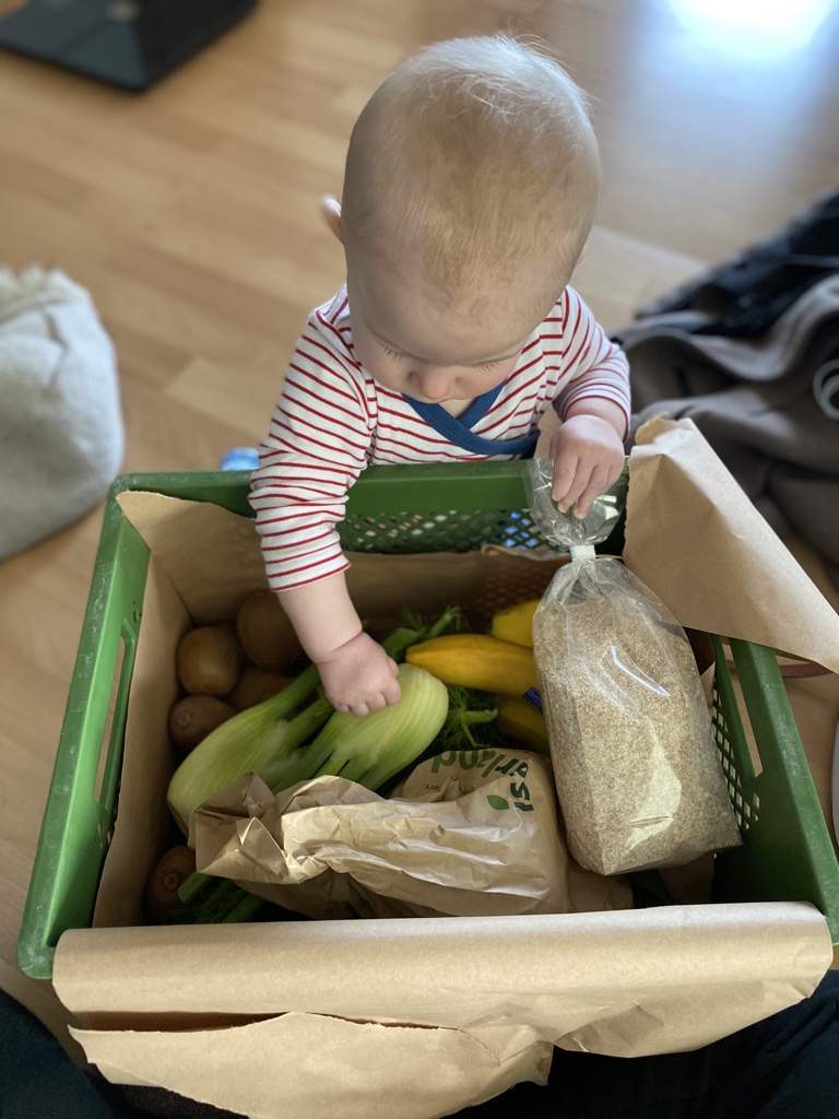 Kleinkind sitzt vor Ökokiste mit Fenchel, Bananen und Kiwi und räumt diese aus.