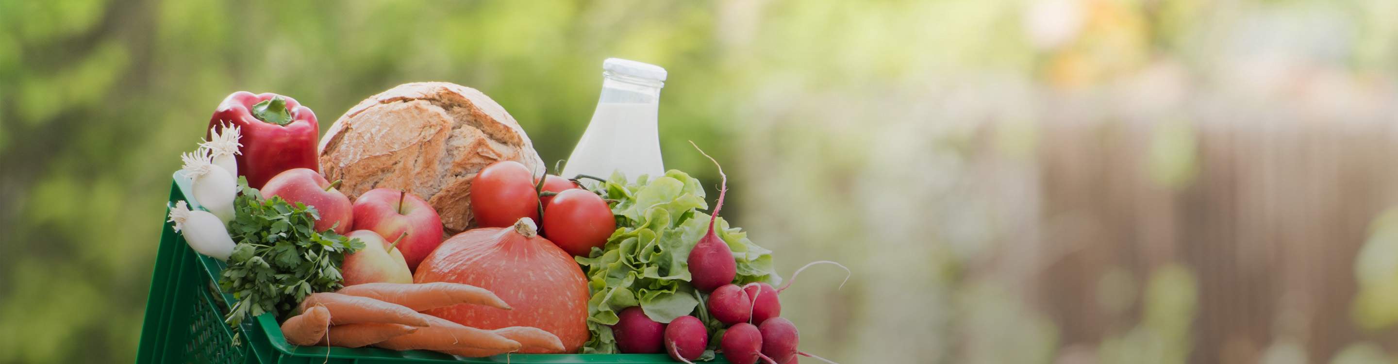 Grüne Biokiste gefüllt mit frischen Lebensmitteln wie Äpfel, Karotten, Kürbis, Brot und Milch.