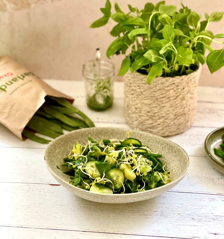 Bohnen-Kartoffelsalat mit Pesto