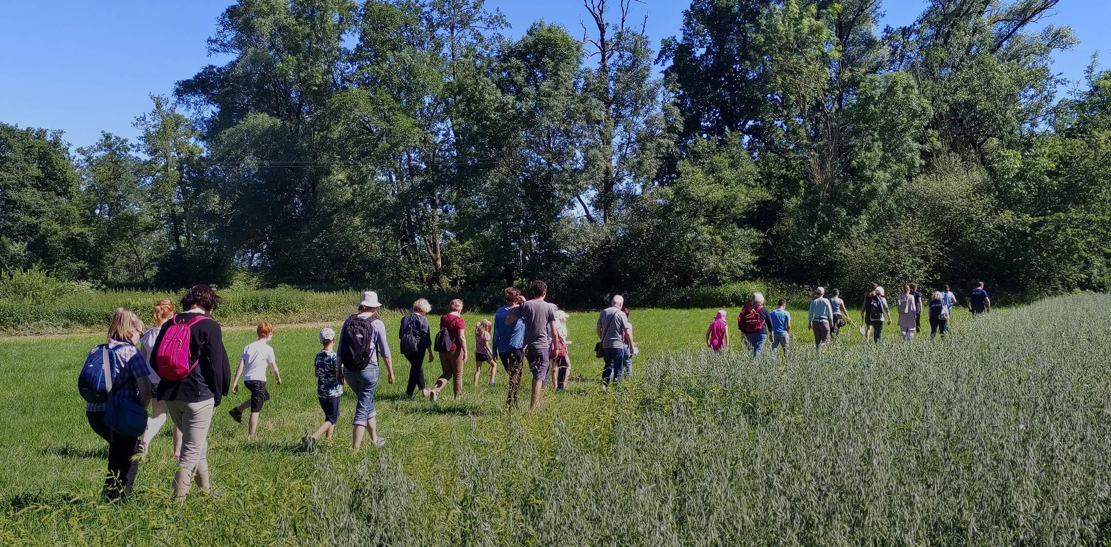 Im Sommer, Gruppe von Menschen wandert über eine Wiese neben einem Feld.