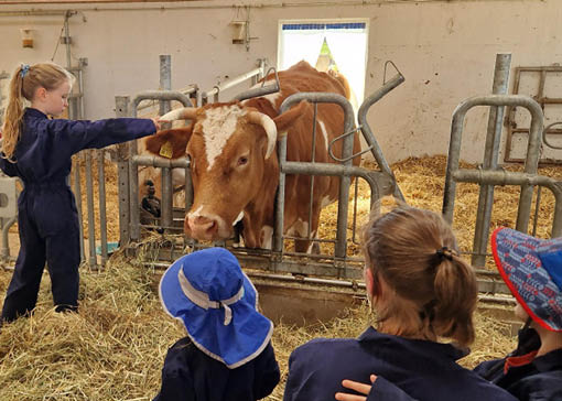 Frau und Kinder sind in einem Kuhstall, in dem der gesamte Boden mit Heu bedeckt ist, neben einer Kuh.
