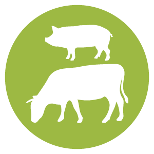 Tiersymbol