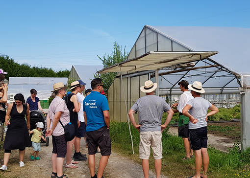 Im Sommer, Besucherinnen und Besucher bei der Gärtnereiführung am Hofgut Letten.