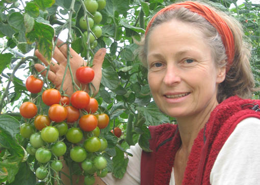 Portrait Renate Hansmair. Daneben eine Tomatenrispe mit grünen und roten Früchten.