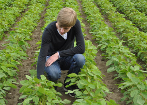 Sohn Adrian auf einem Feld.