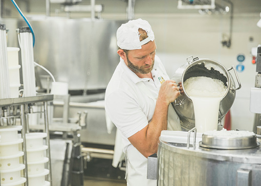 Ein Molkereimitarbeiter schüttet Milch aus einer Kanne in einen großen Behälter