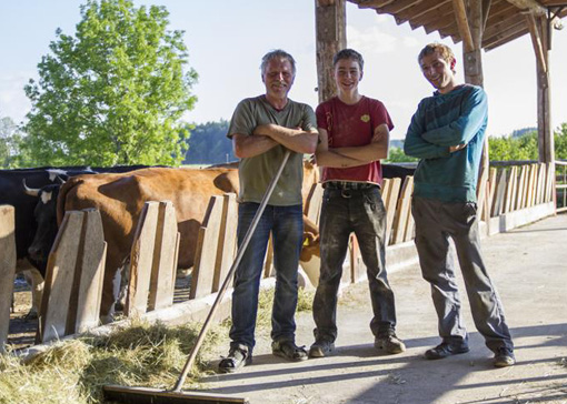 Drei Landwirte stehen im Stall und lachen