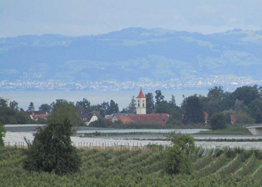 Aussicht vom Hof auf den Bodensee. Im Hintergrund die Schweizer Berglandschaft.
