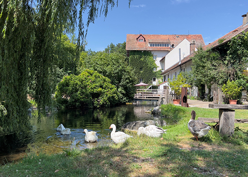 Das Mühlengebäude, im Vordergrund der Garten des Mühlencafés