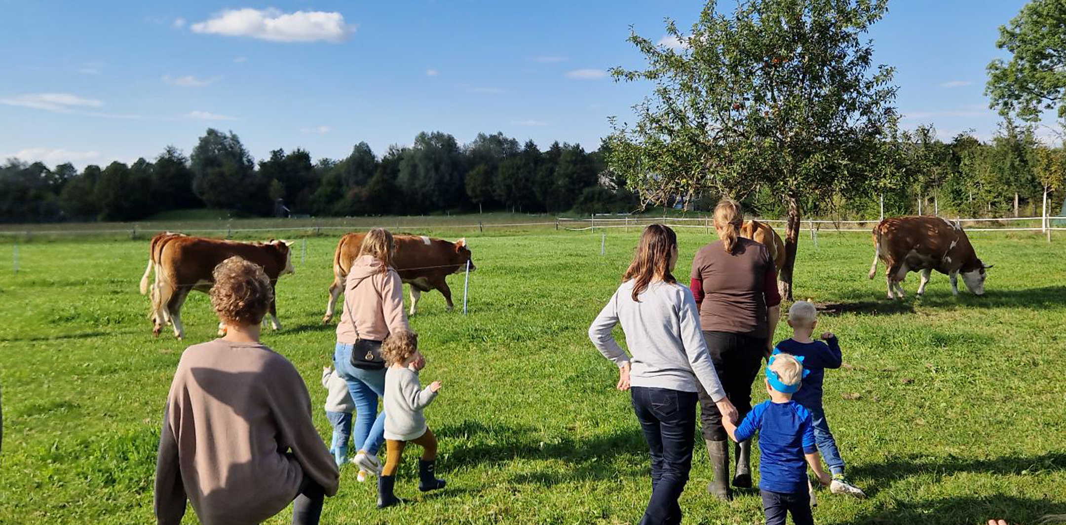 Mütter mit kleinen Kindern gehen über eine Streuobstwiese auf der Kühe grasen.